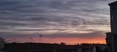 Enlarge photo 81