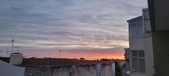 Enlarge photo 95