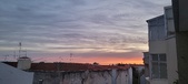 Enlarge photo 96