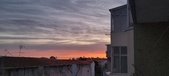 Enlarge photo 98
