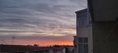 Enlarge photo 99