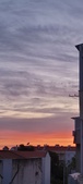 Enlarge photo 103