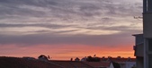 Enlarge photo 109