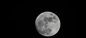Enlarge photo 270