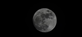 Enlarge photo 129