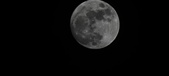 Enlarge photo 275