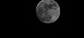 Enlarge photo 131
