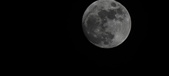 Enlarge photo 273