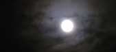 Enlarge photo 133