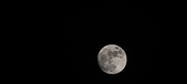 Enlarge photo 134