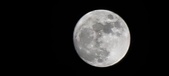 Enlarge photo 135