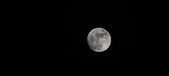 Enlarge photo 278