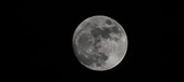 Enlarge photo 279