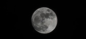 Enlarge photo 280