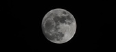 Enlarge photo 281