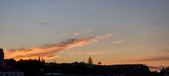Enlarge photo 291