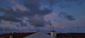 Enlarge photo 310