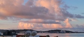 Enlarge photo 230