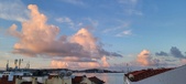 Enlarge photo 330