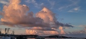 Enlarge photo 335