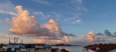 Enlarge photo 241