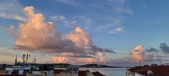 Enlarge photo 243