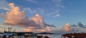 Enlarge photo 244