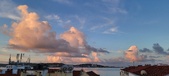 Enlarge photo 339