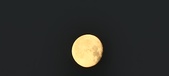 Enlarge photo 251