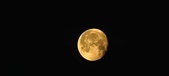 Enlarge photo 252