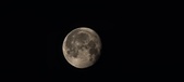 Enlarge photo 253