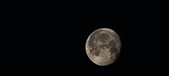Enlarge photo 254