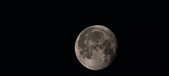 Enlarge photo 257