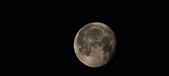 Enlarge photo 256