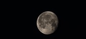 Enlarge photo 255