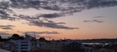Enlarge photo 351