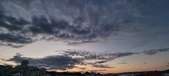 Enlarge photo 354