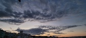 Enlarge photo 356