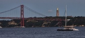 Enlarge photo 420