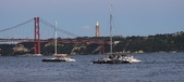 Enlarge photo 424
