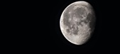 Enlarge photo 516