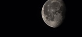 Enlarge photo 590