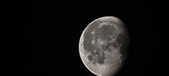 Enlarge photo 519