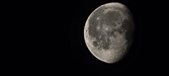 Enlarge photo 592