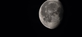 Enlarge photo 593