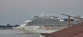 Enlarge photo 605
