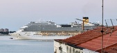 Enlarge photo 540