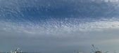 Enlarge photo 147