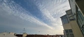 Enlarge photo 149