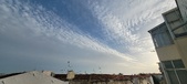 Enlarge photo 150